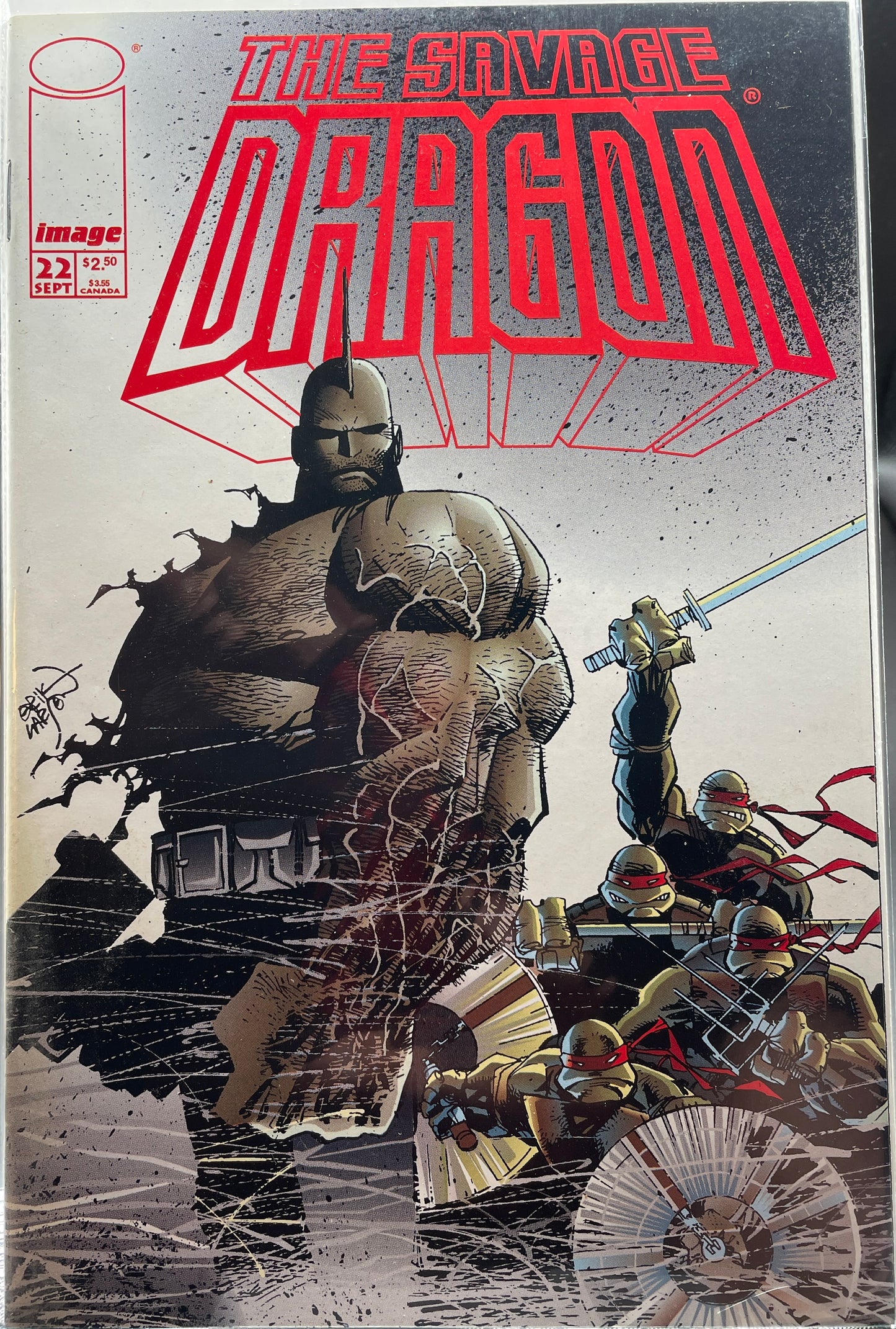 The Savage Dragon #22 feat: Teenage Mutant Ninja Turtles (Direct Edition)