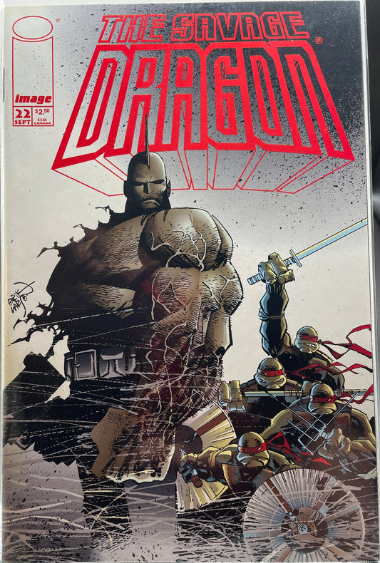 The Savage Dragon #22 feat: Teenage Mutant Ninja Turtles (Direct Edition)