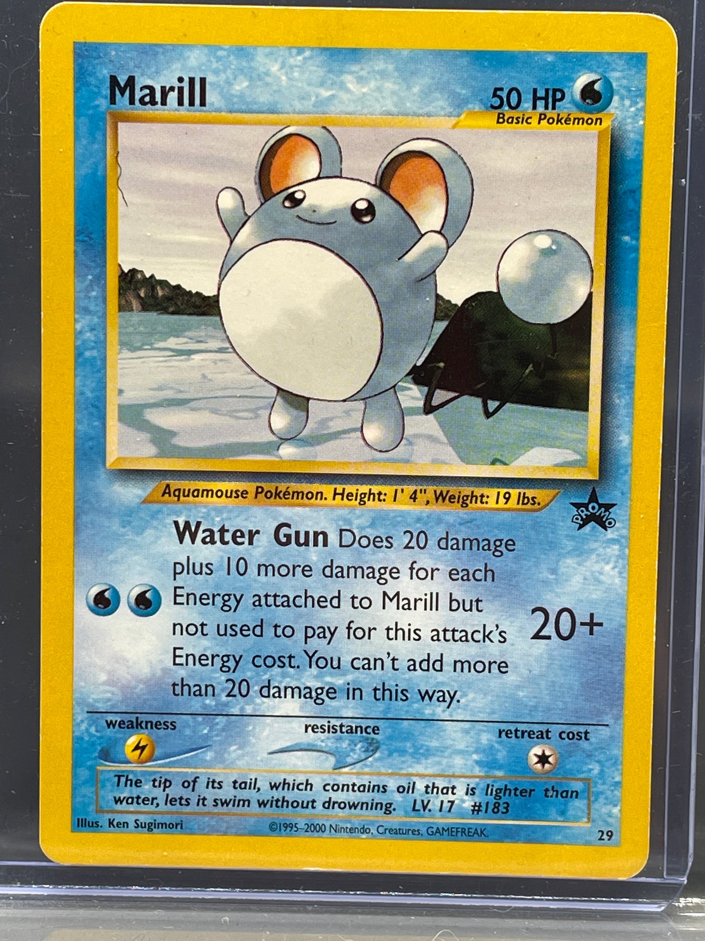 Pokemon Card: Marill