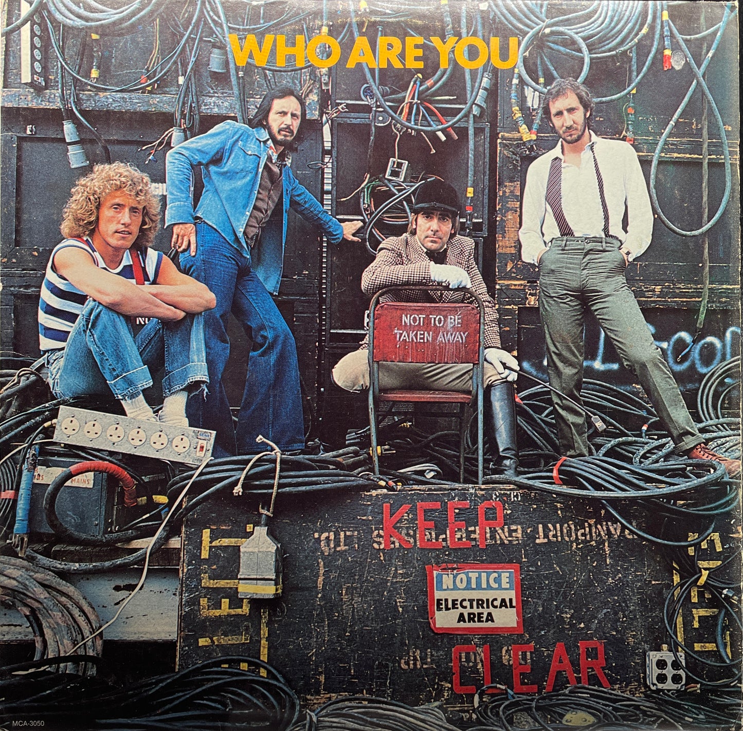 The Who: Who are You? Vinyl LP