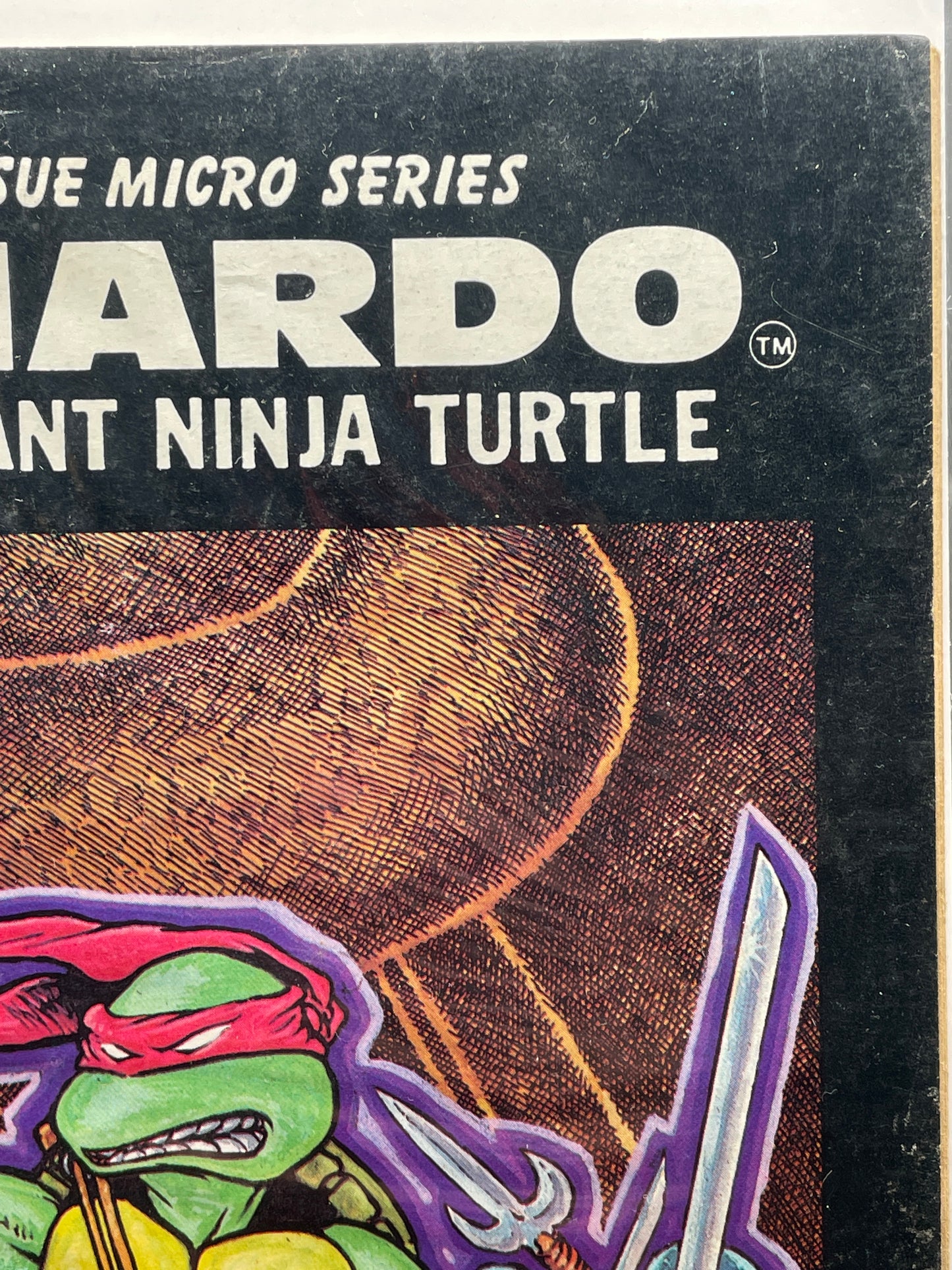 Leonardo: Teenage Mutant Ninja Turtle #1 of 1 (Clearance)