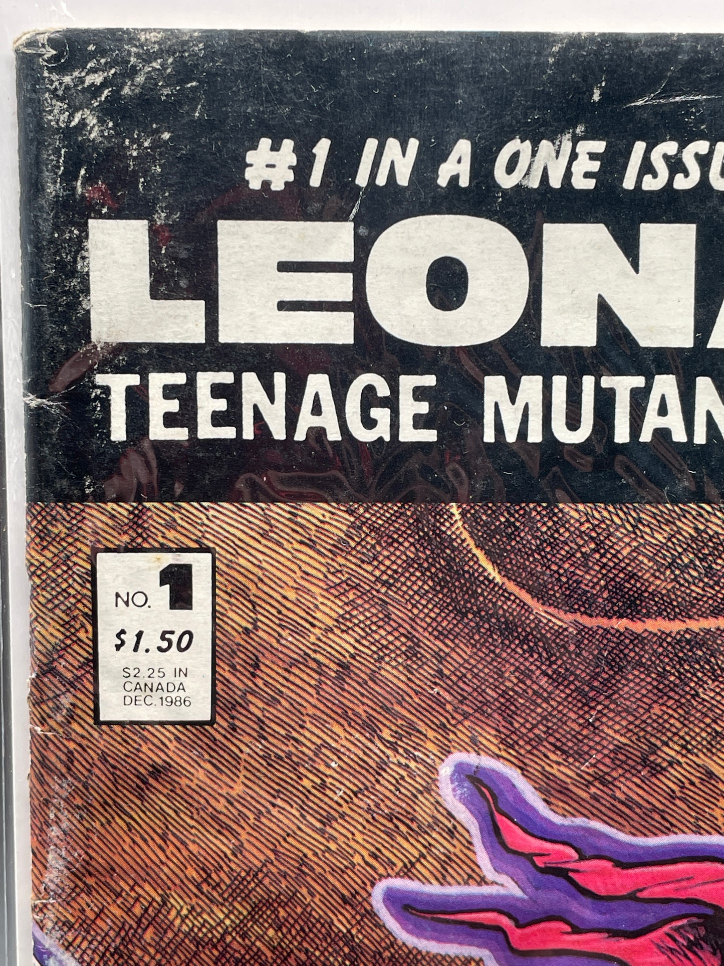 Leonardo: Teenage Mutant Ninja Turtle #1 of 1 (Clearance)